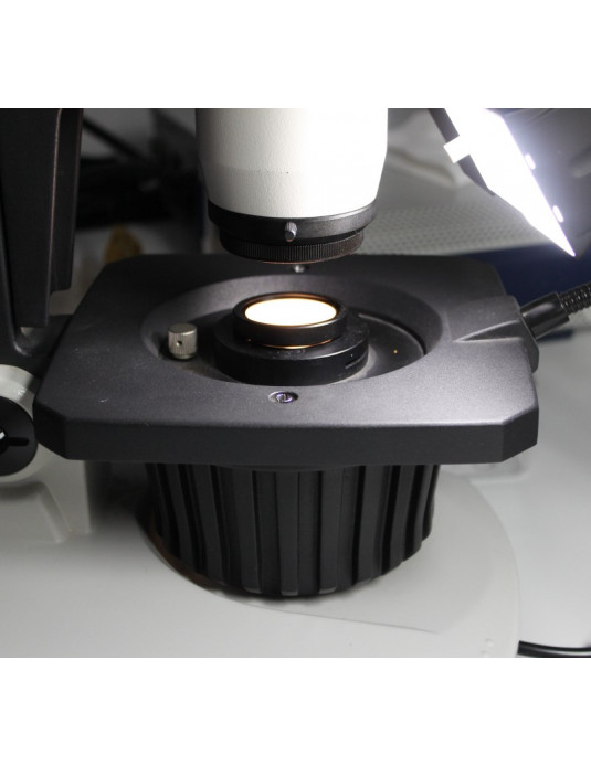 Polarizadores para microscopio