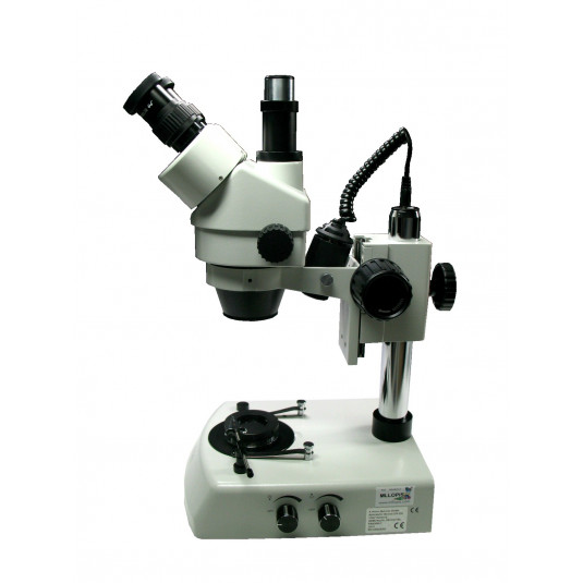 Microscopio estereo Kruss KSW5000-T-LED