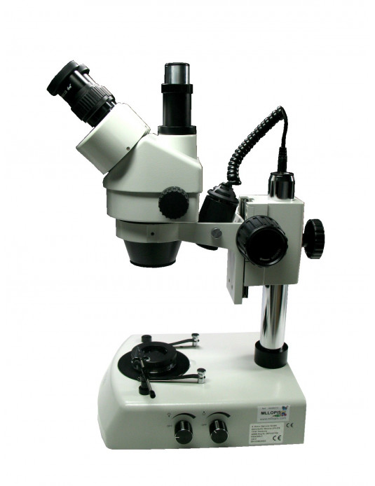 Microscopio estereo Kruss KSW5000-T