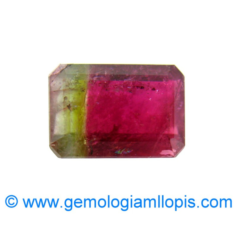 Turmalina bicolor