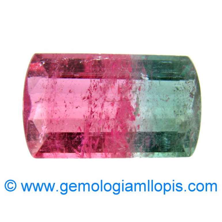 Turmalina bicolor