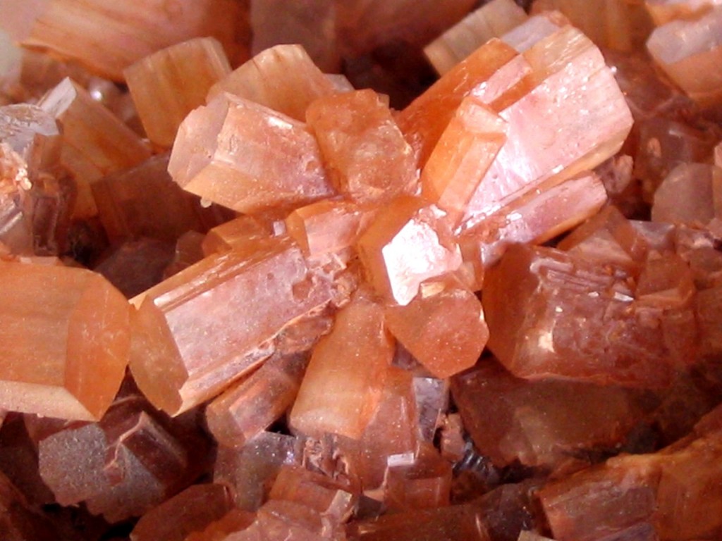 Rosetones de cristales de aragonito