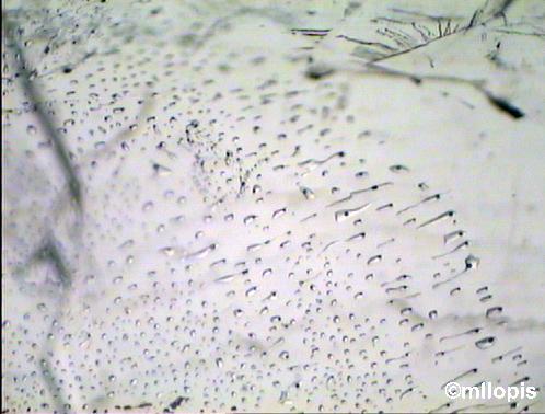 Huella dactilar, o plano de inclusiones bifásicas en una fluorita