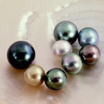 Perlas cultivadas del Mar de Cortez