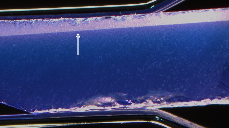 La flecha indica la semilla utilizada para hacer crecer el cristal sintético sobre ellas. Luz reflejada difusa y transmitida, 20x.