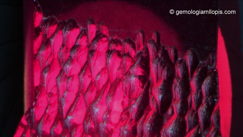 Una de las caras del rubí sintético hidrotermal con señales de crecimiento típicas del método de síntesis hidrotermal. Luz transmitida, 30x.