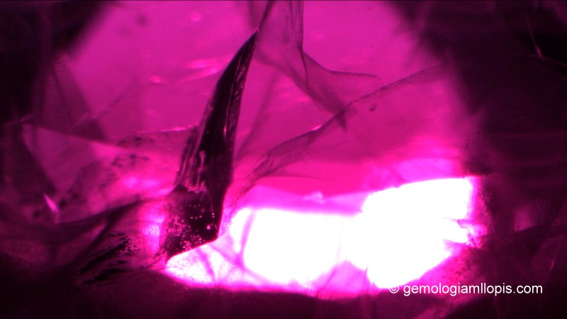 Fractura interna y velos parecidos a los que podemos ver en los rubíes naturales. Luz de campo oscuro, 60x.